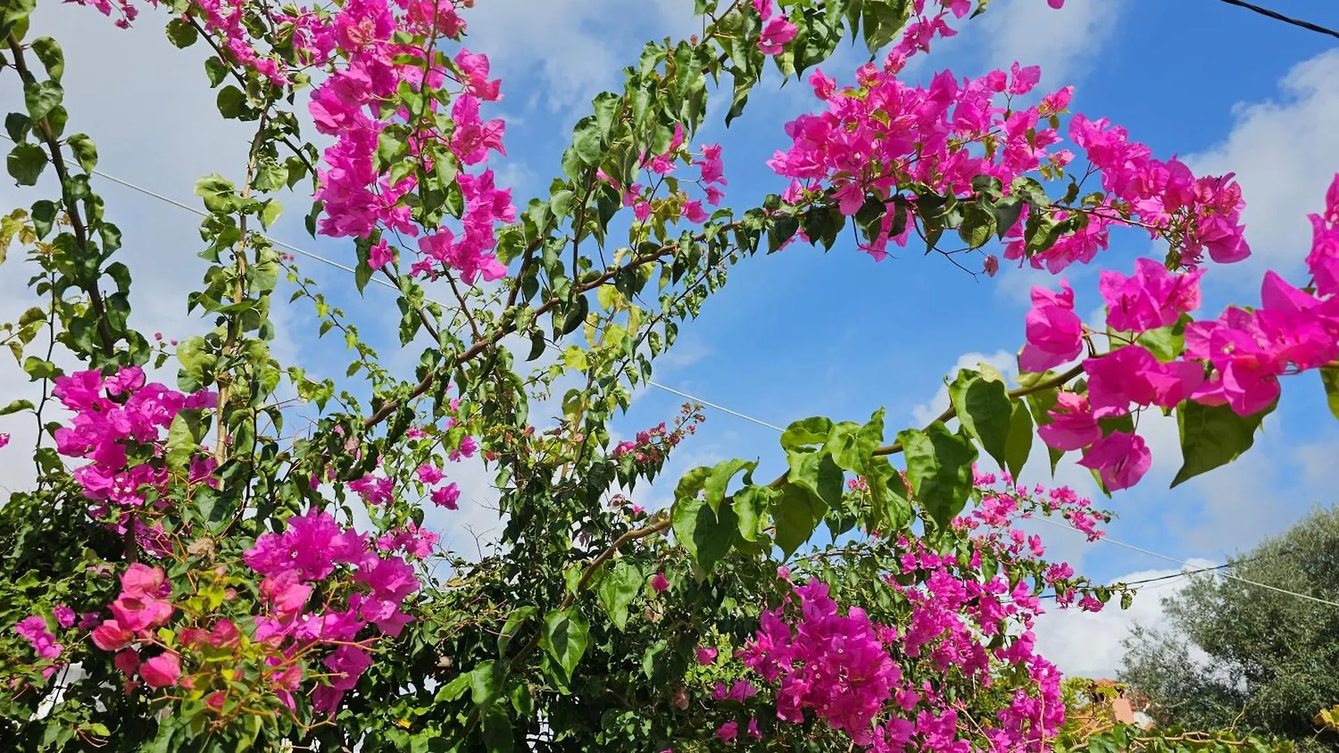 בית נופש Pesádha Ploes Luxury Cottages