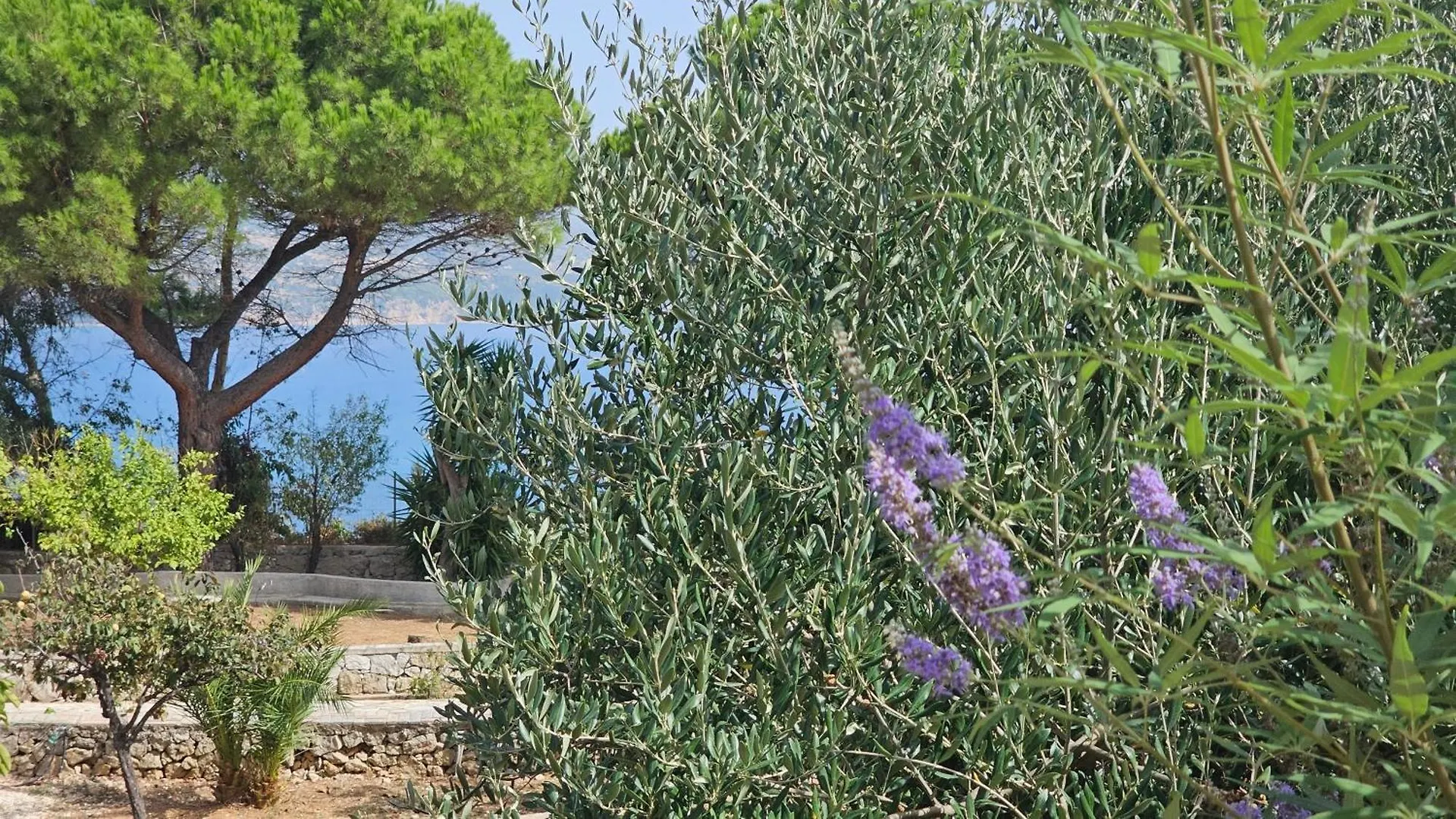 Holiday home Ploes Luxury Cottages Pesadha